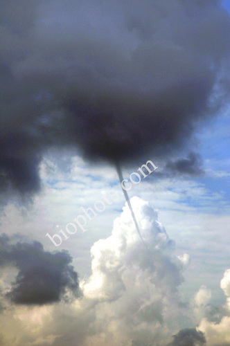 Funnel Shaped Cloud, Ramrod Key, Florida