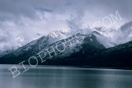 Snow Squall in the Grand Tetons