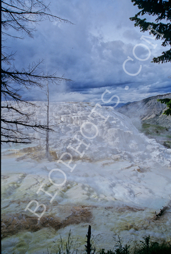Travertine Falls, Yellowstone Nat. Pk.