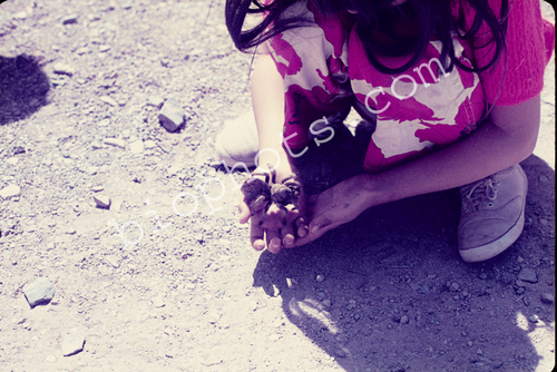 Child Holding Tarantula