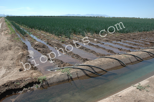 Agri