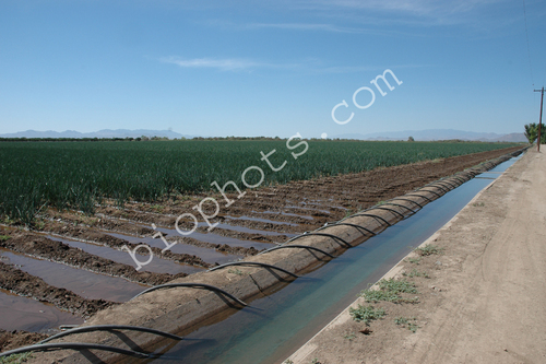 Row irrigation