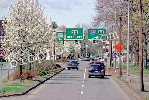 Streetscape with Ornamental pear trees