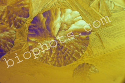 Copper Sufate Crystal