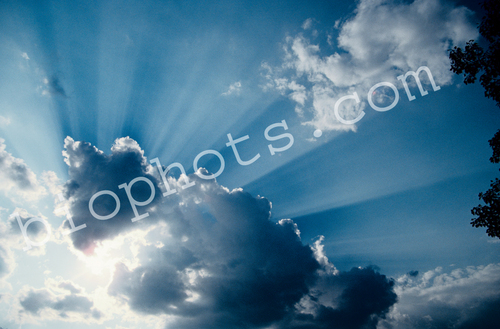 Crepuscular rays