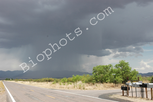 Rain Shaft