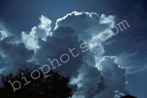 Silver lining and cumulus cloud