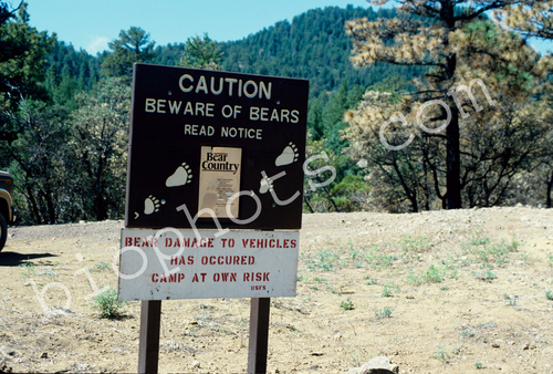 Bear warning sign