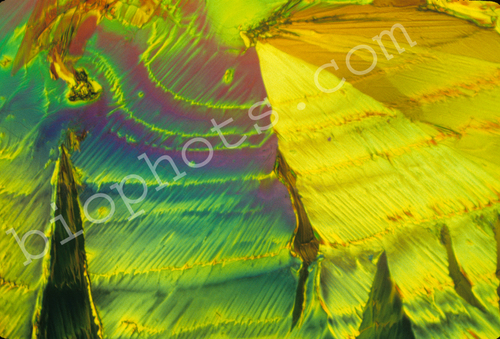 Acetimide crystal 100x
