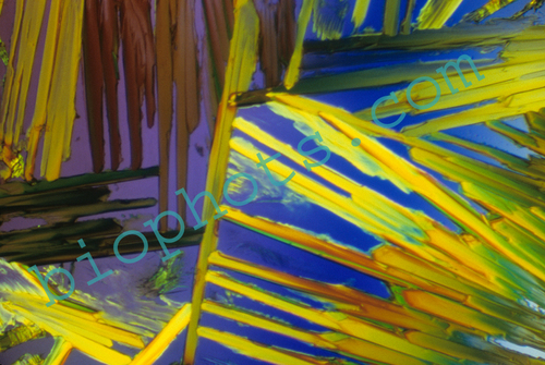Acetimide crystal