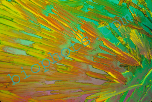 Acetimide crystal photomicrograph