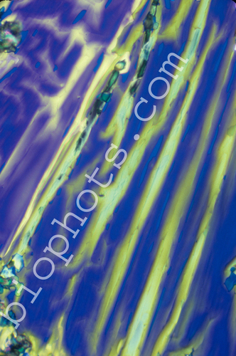 Acetimide crystal photomicrograph