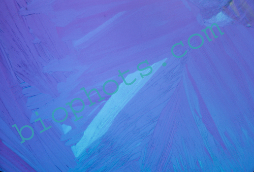 Acetimide Chrystal photomicrograph