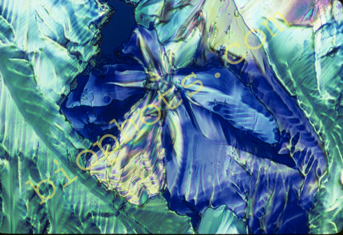 Phthalic anhydride crystal 200x