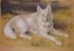 Whitey (thumbnail)