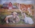 Farm%20Sanctuary (thumbnail)