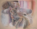 Ham (thumbnail)