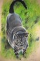 Lily (thumbnail)