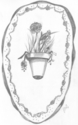 Flower%20Pot (thumbnail)