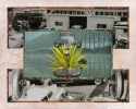 JUNKYARD%20MARY (thumbnail)