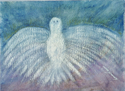 Dove (thumbnail)