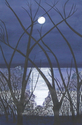 Moon%20On%20Water (thumbnail)