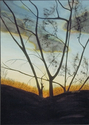 New%20Years%20Sunrise (thumbnail)