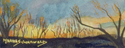 Tiny%20Sunset (thumbnail)