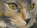 Zoe%20-%20Partial%20Image (thumbnail)