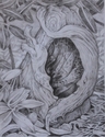 drawing, fantasy, tree stumps,  - Fantasy Drawing