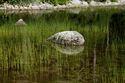 Bubblen Pond II, Acadia Bubblen%20Pond%20II%2C%20Acadia (thumbnail)