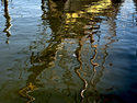 Squarerigger Reflection Squarerigger%20Reflection (thumbnail)