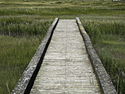 Boardwalk%20II (thumbnail)