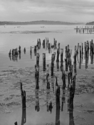 Wiscasset Pilings Wiscasset%20Pilings (thumbnail)