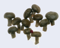 Mushrooms%20ET (thumbnail)
