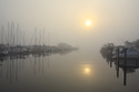 Marina in Fog Marina%20in%20Fog (thumbnail)