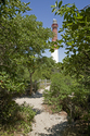 Barnegat Light Path Barnegat%20Light%20Path (thumbnail)