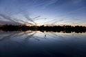 Bayhead Pond at Twilight Bayhead%20Pond%20at%20Twilight (thumbnail)
