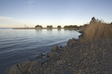 Cove / Barnegat Bay Cove%20%2F%20Barnegat%20%20Bay (thumbnail)