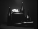 Rose & Black Bottles Rose%20%26%20Black%20Bottles (thumbnail)