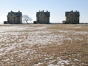 Sandy Hook Triplets Sandy%20Hook%20Triplets (thumbnail)