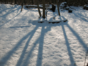 Snow Shadows I Snow%20Shadows%20I (thumbnail)