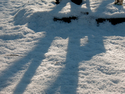 Snow Shadows II Snow%20Shadows%20II (thumbnail)