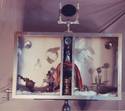 Wedding Shrine
