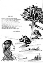 LiterarySafari1972_Oak
