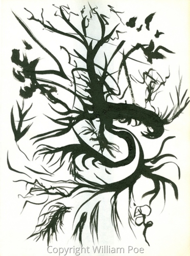 Mandrake