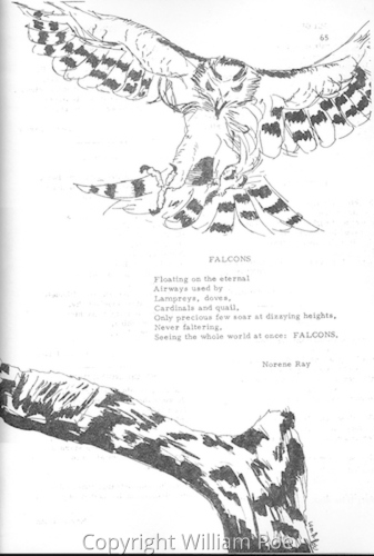 LiterarySafari1972_Falcons
