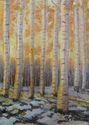 Aspen%20Gold (thumbnail)