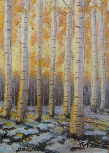 Aspen%20Gold (large view)