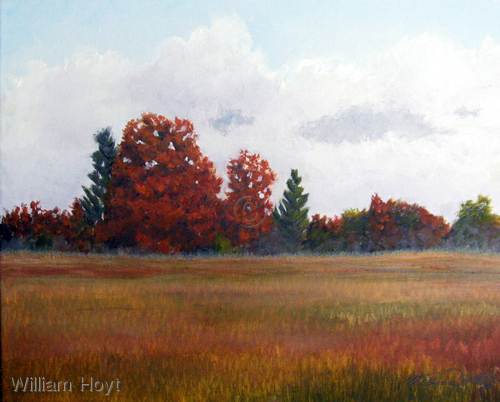 Fallow%20Field (large view)